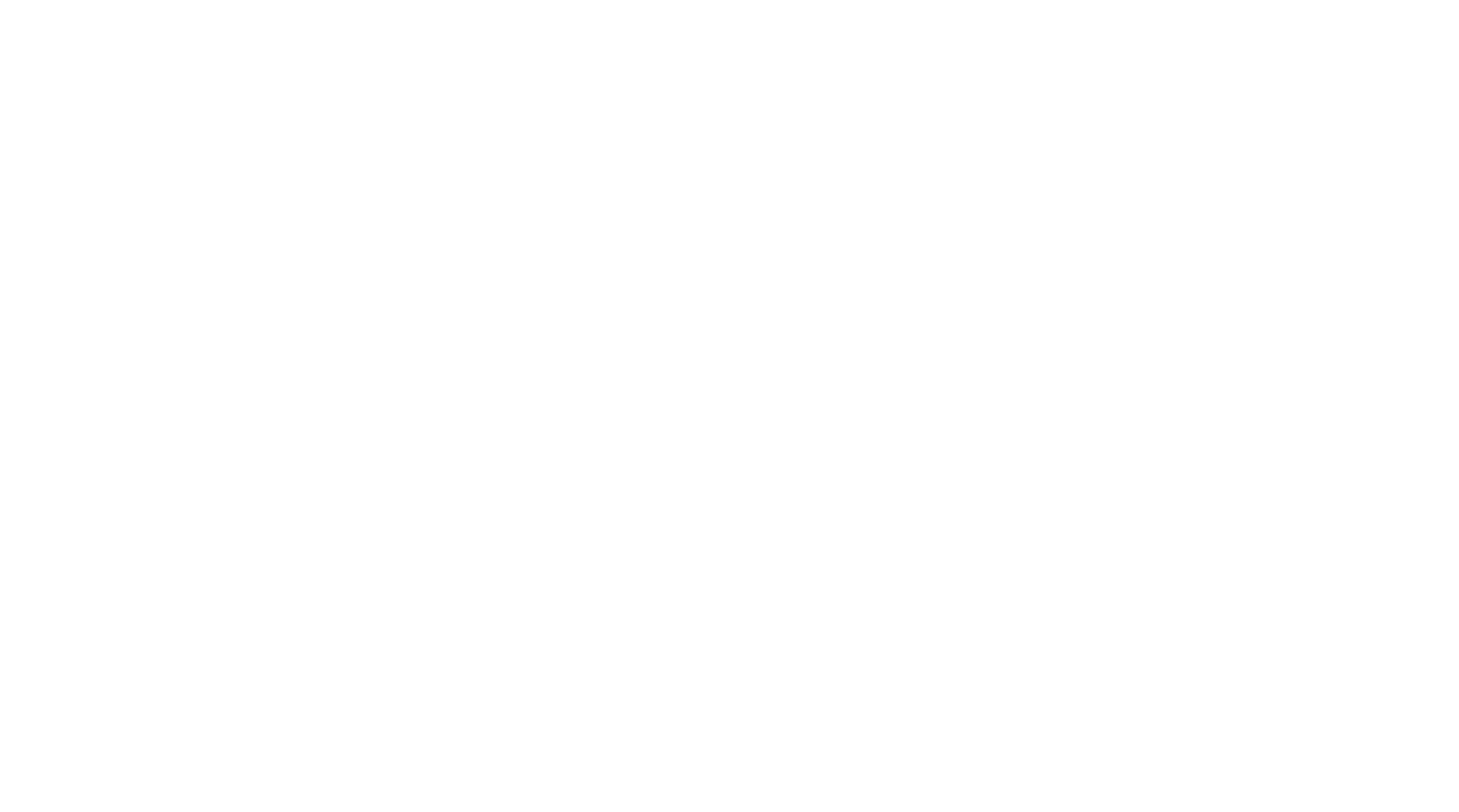 Company 8